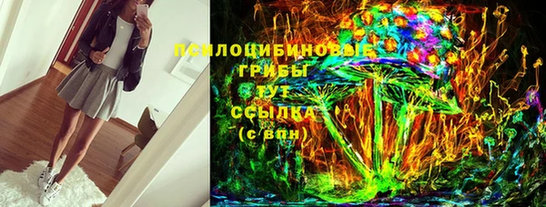 PSILOCYBIN Абаза