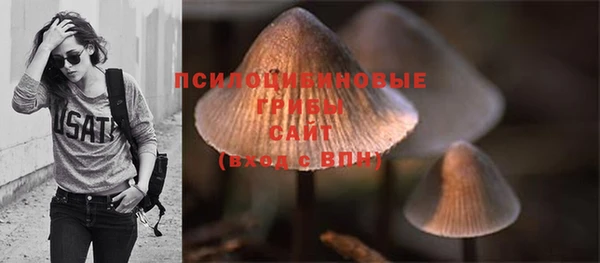 PSILOCYBIN Абаза