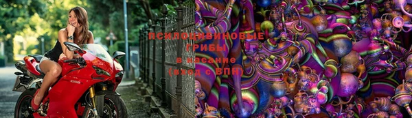 PSILOCYBIN Абаза
