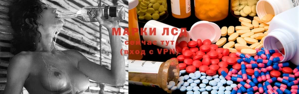 PSILOCYBIN Абаза
